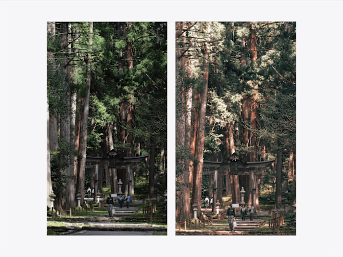 Photography editing of japanese forest