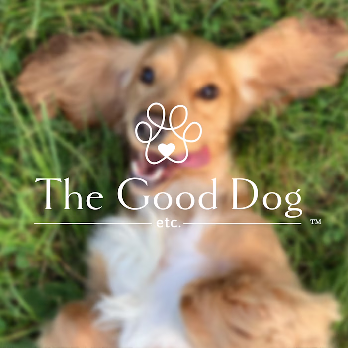 Pet Supply Store Branding and Design