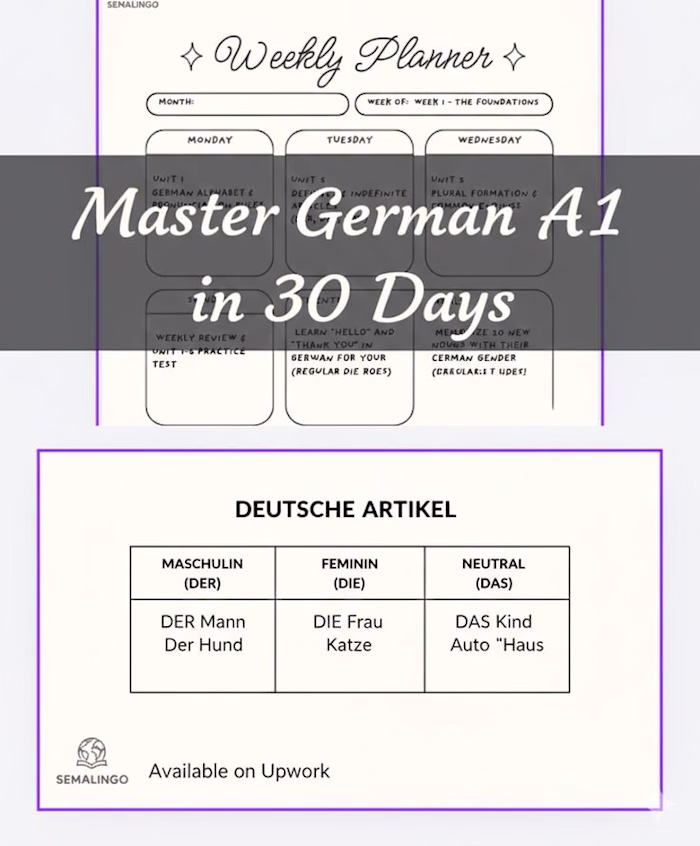 A comprehensive, visually-driven guide designed