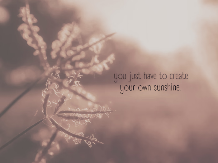 Project Manager | Medicinal plant farm and processing plant