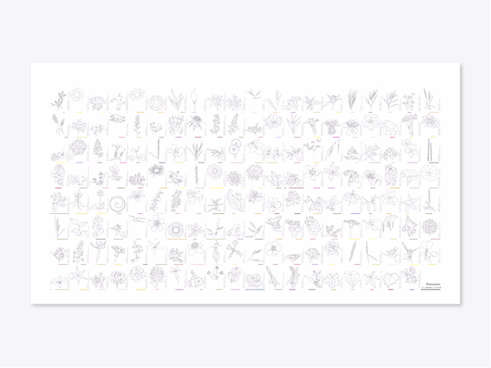 Anthology of flora: botanical species and their blooming periods