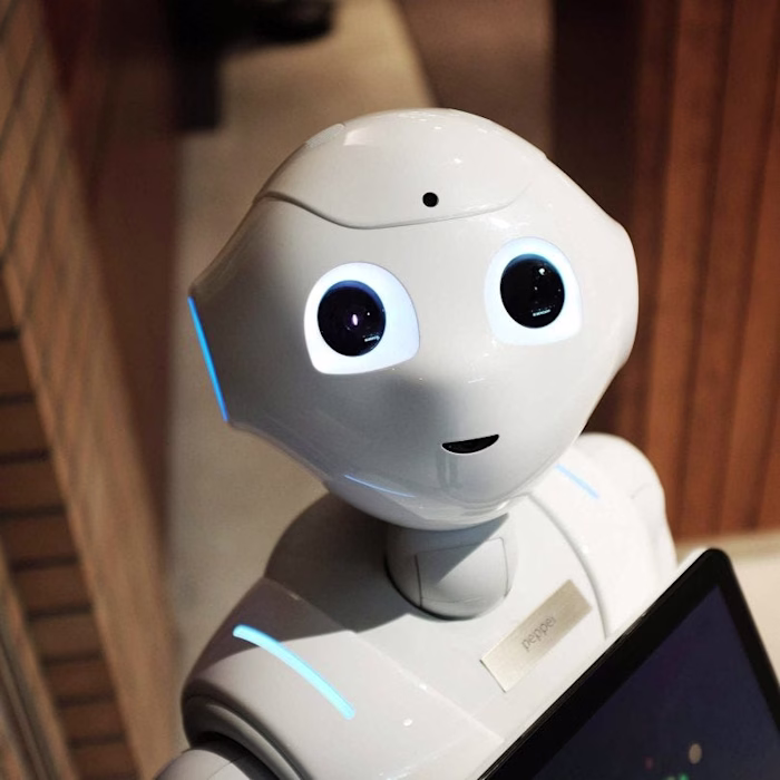 Using Nyckel to Reverse-Engineer Google Vision API