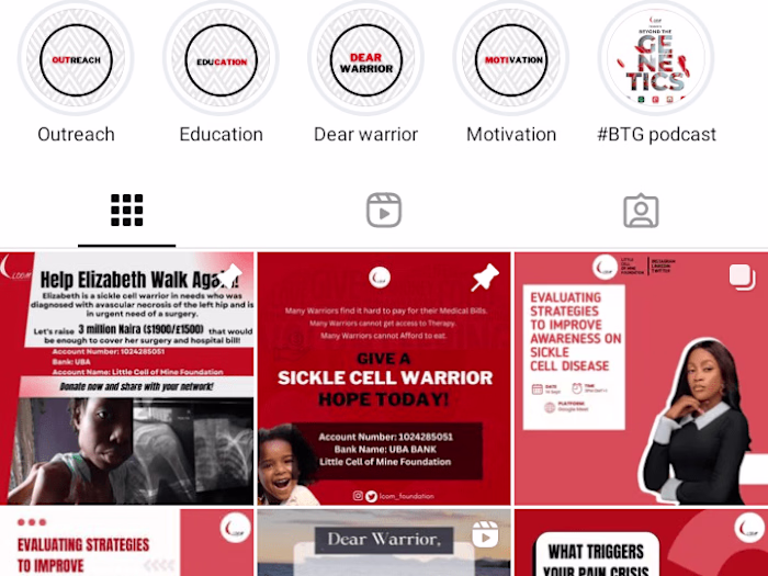 Social Media Managed account 2 (NGO)