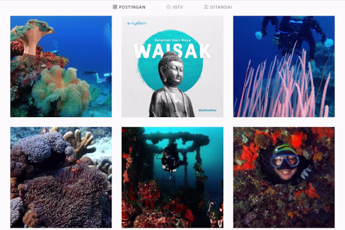 Wimiku Indo Digital - Instagram