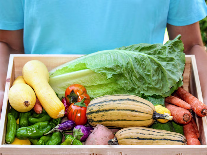 The Boise Farmers Market - Newsletter 1/31/23