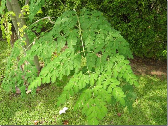 Healthy Food Choices: Dietitian-Approved Tips for Better Eating