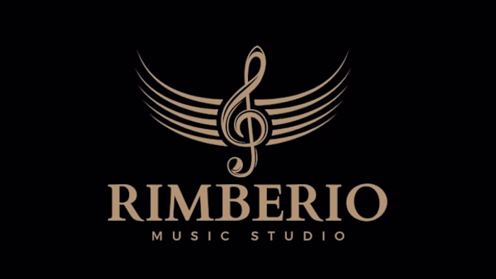 I will creative pro music logo designs