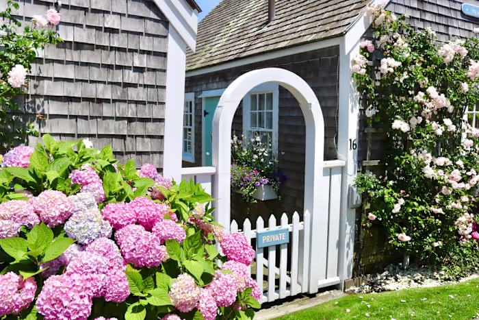 BLOG: Exploring the Picture-Worthy Gems of Nantucket