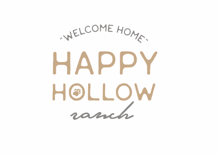 Warm and Friendly Brand Design + Strategy for Dog Breeder 