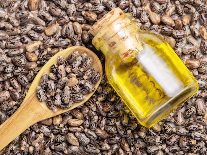 7 seas – 7seasenterprises