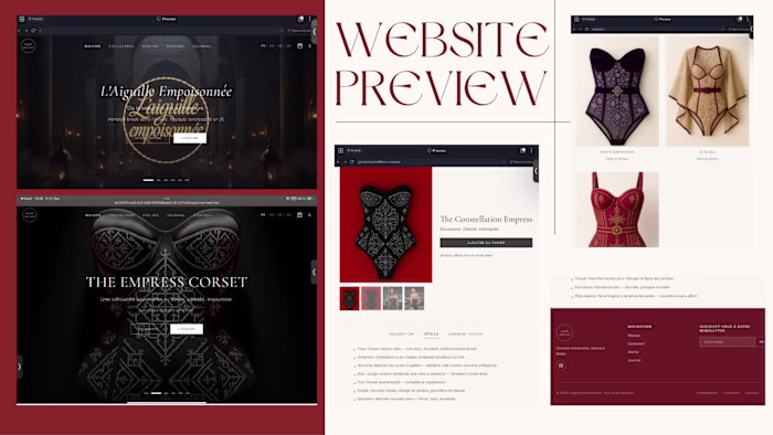 Website preview of l’aiguille empoisonnée.