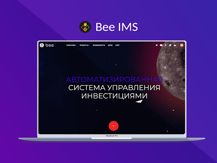 Full Stack Website Development for Bee Investment Management Sys