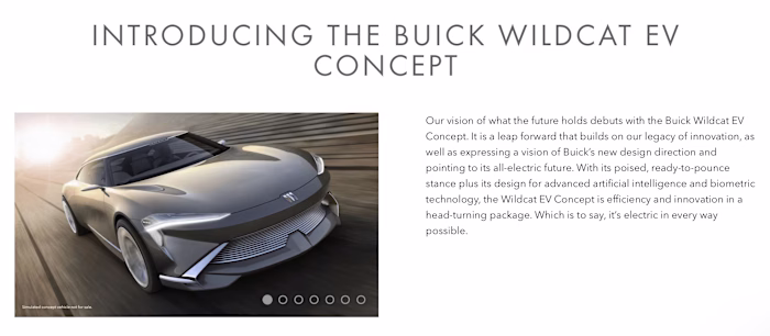Lead writer for Buick.com
