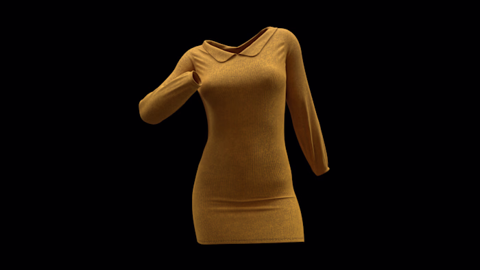 Marvelous Designer - Female Cord Collared Dress