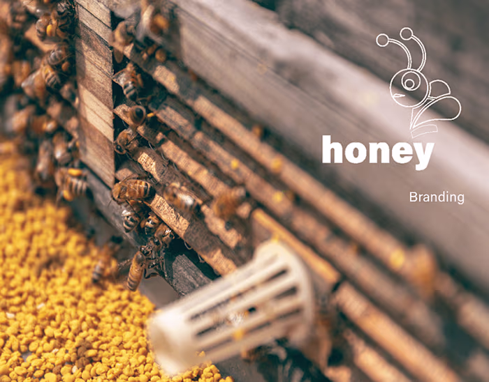Honey Bunny Branding 🐻🍯