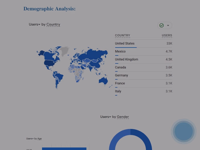 Shopify store data analysis and UX audit
