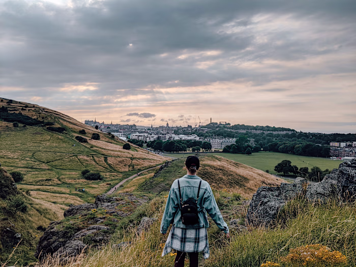 Social Media Management 