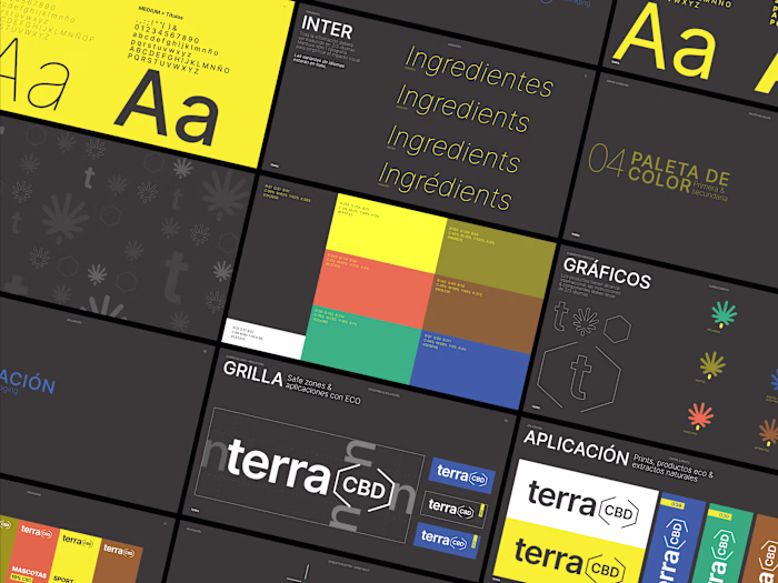 Terra : Re Branding