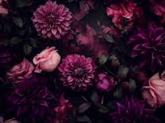 Unlock AI Insights for Every Seat