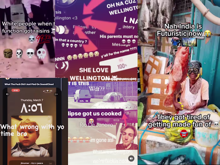 You Can't Stop The Brainrot