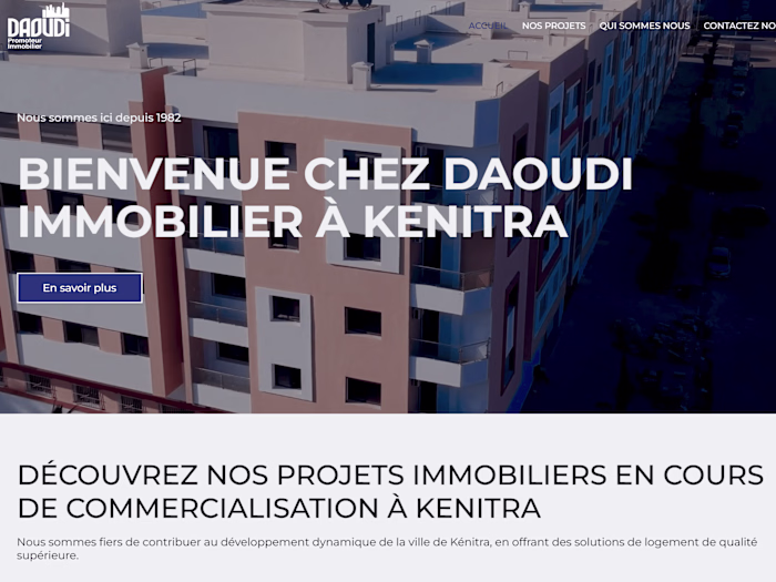 Website Design & Development for Daoudi Immobilier