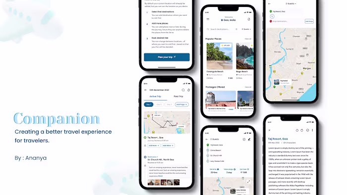 Companion: Creating a better travel experience for travellers.
