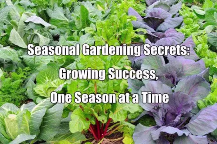 Seasonal Gardening Guide with Metal Raised Beds