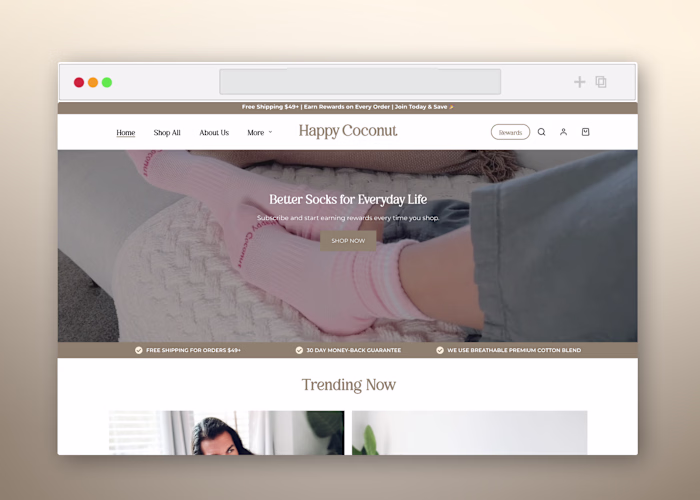 E-commerce Website Development for Happy Coconut Club
