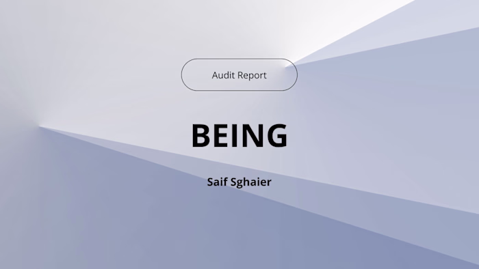 Audit Report: BEING Project
