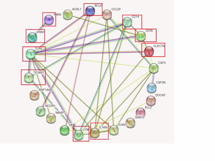 Scientific Article: Key genes associated with NAFLD and AMI