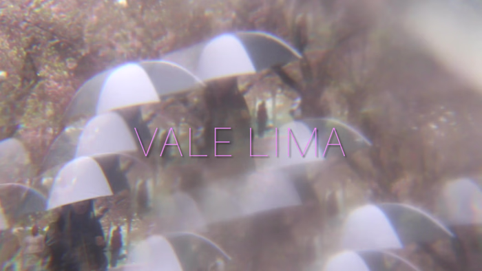 Visual Collection: 2018-2019 on Vimeo