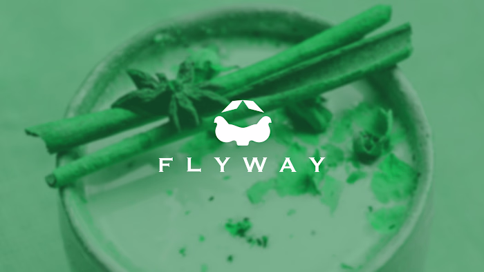 Flyway Logo Design