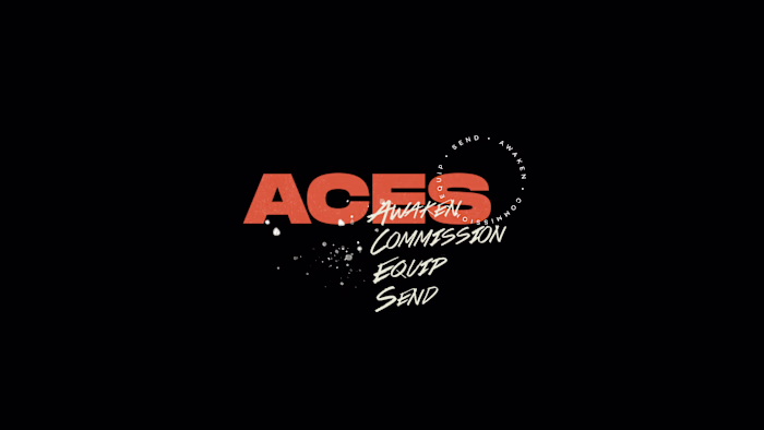ACES School Branding