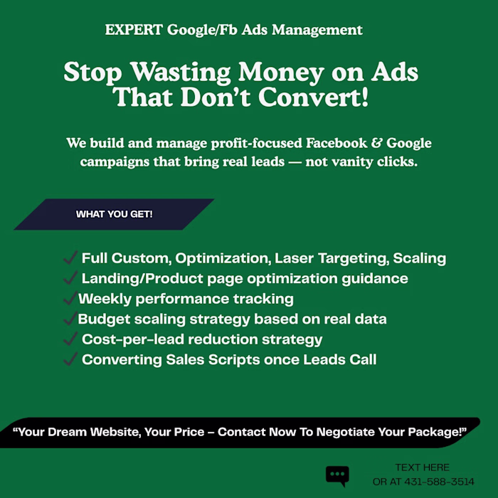Facebook/Google Ads past work Results