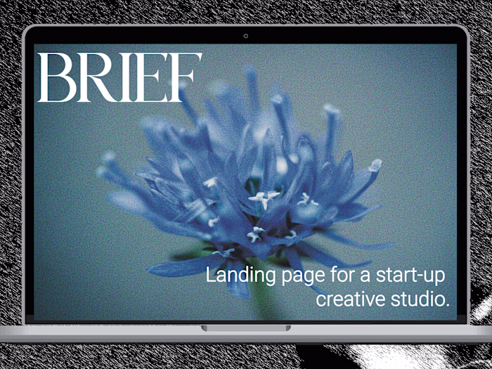Blue Orchid - Web Design