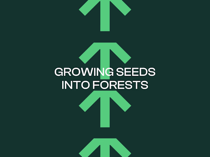 M4 Ventures - Branding & Website