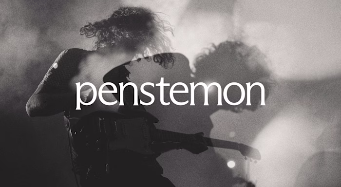 Penstemon - Indie Rock Music Label on Behance