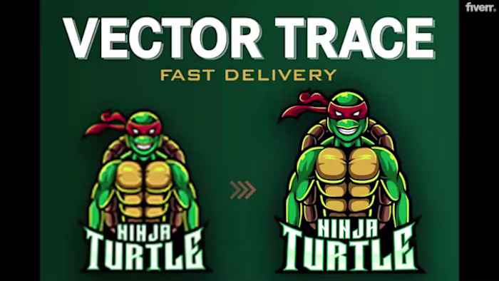 Vector Tracing and Image Conversion Project