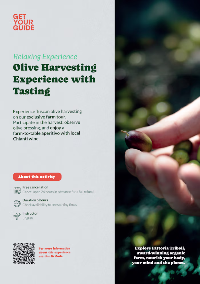 Olive Harvesting Flyer