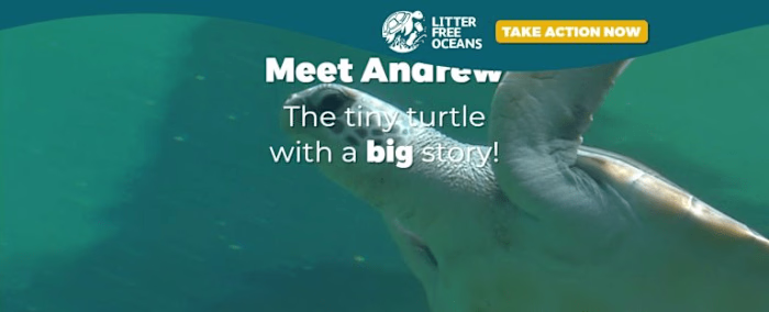 LFO | Web Development | ui/ux | Next.js
