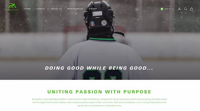 Shopify website Development