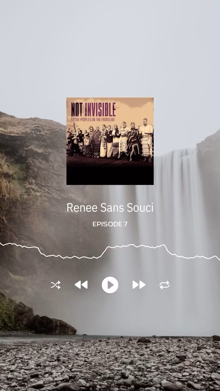 Not Invisible Podcast