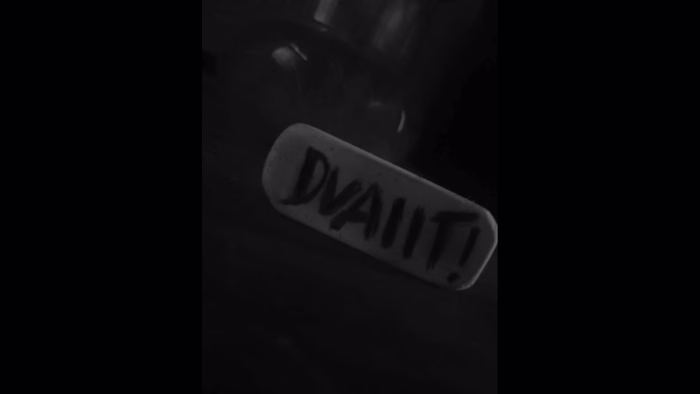 DVAIIT! - RASIA (AUDIO) - YouTube