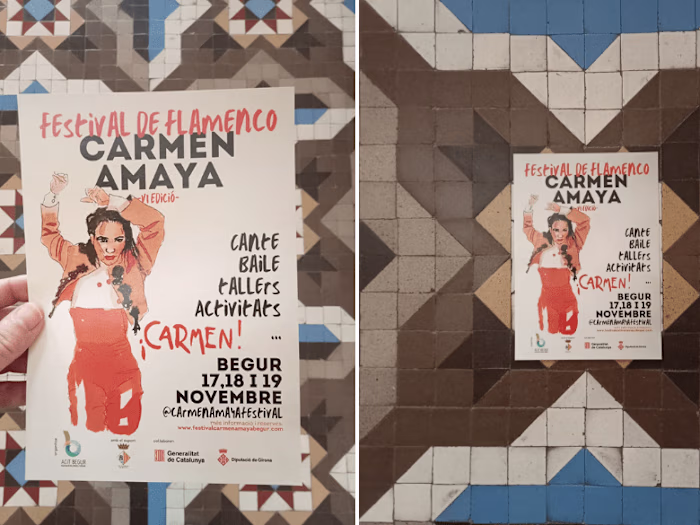 graphic image design for the VI edition of the Carmen Amaya Flam