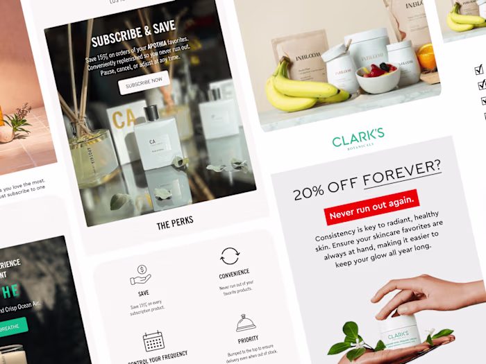 Lifecycle Automation for Subscription Growth