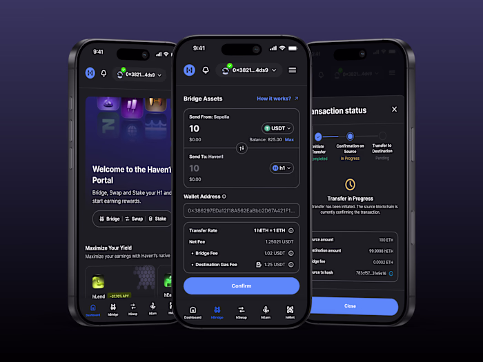 Redesigning Haven1's Multi-Chain Bridge for User Clarity