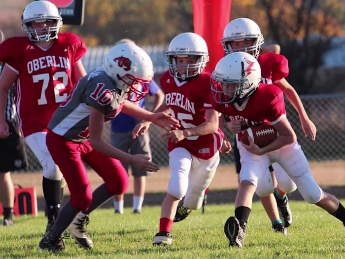 Revamping nonprofit's website with consistent branding