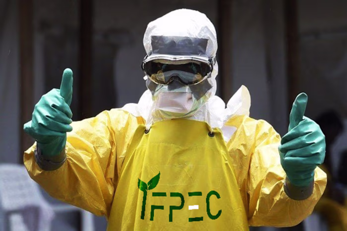 IFPEC Solutions Branding