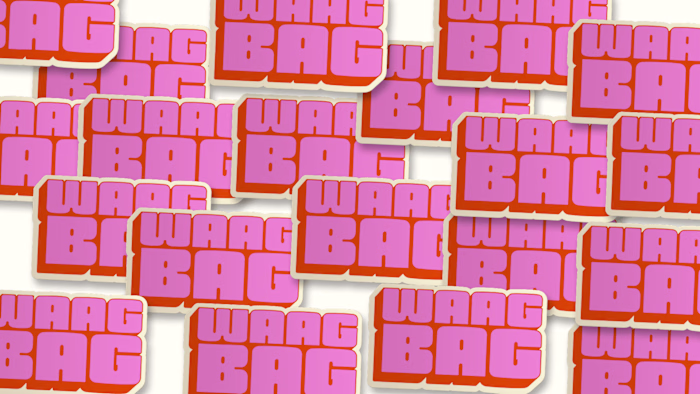 Brand Identity for a Trendy Dog Brand