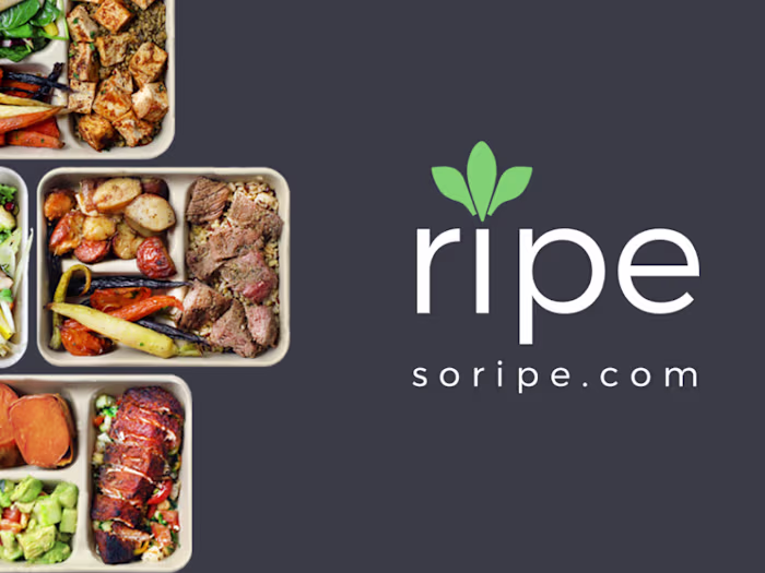 Startup debt financing strategy